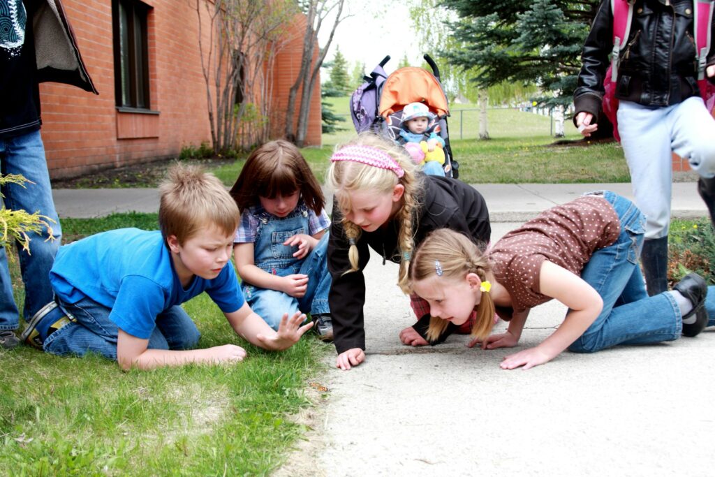 Children curiously examining an insect outdoors